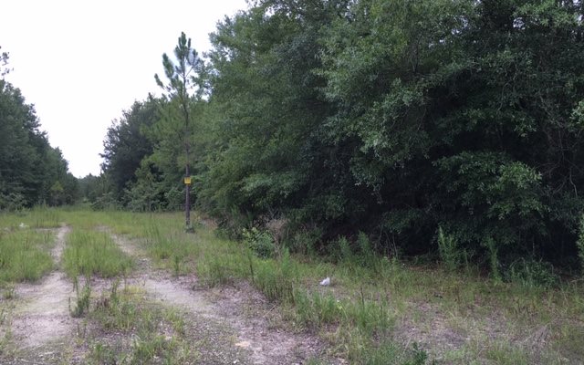 THOMPKINS RD, Lake City, FL 32024