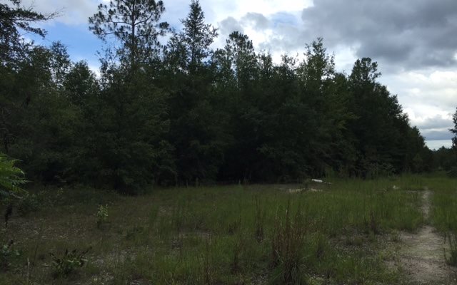 THOMPKINS RD, Lake City, FL 32024