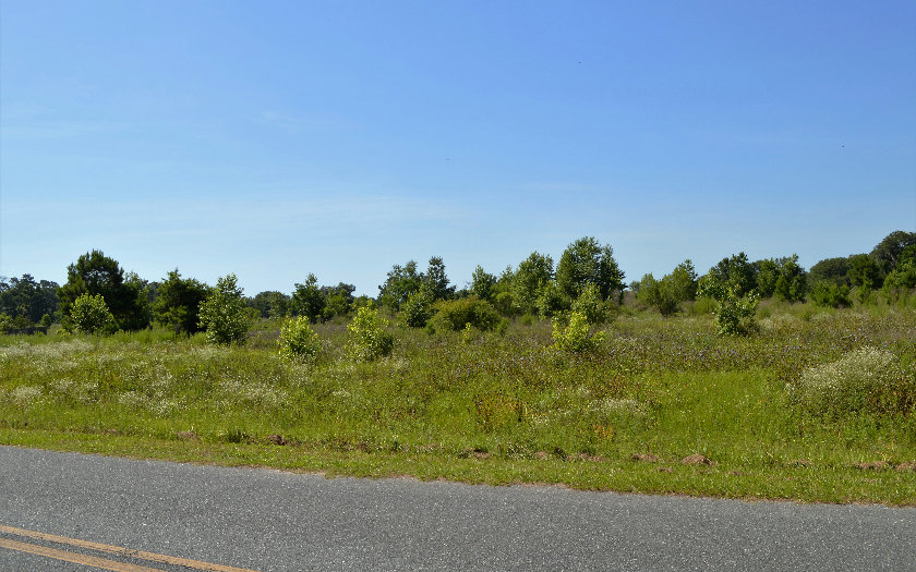 142 SE LINDALE GLEN-LOT 20, Lake City, FL 32025