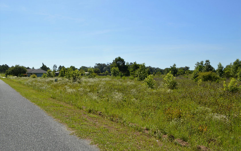 142 SE LINDALE GLEN-LOT 20, Lake City, FL 32025