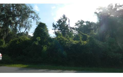 261 SW DEANNA TERRACE, Lake City, FL 32025
