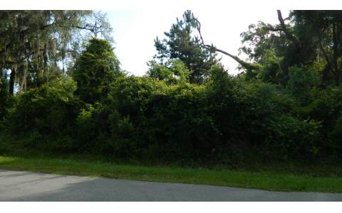 261 SW DEANNA TERRACE, Lake City, FL 32025