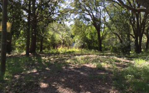 130 SW LUCKY DRIVE, Lake City, FL 32025