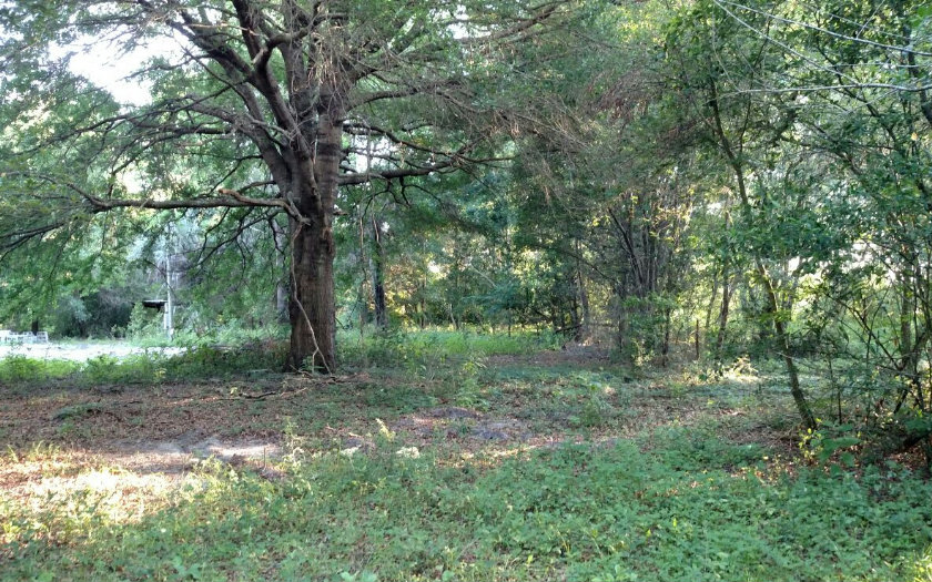 249 SW GRASSLAND WAY, Lake City, FL 32025