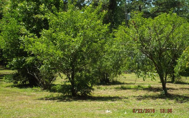 400 SE Seth Nettles Drive, Lake City, FL 32025