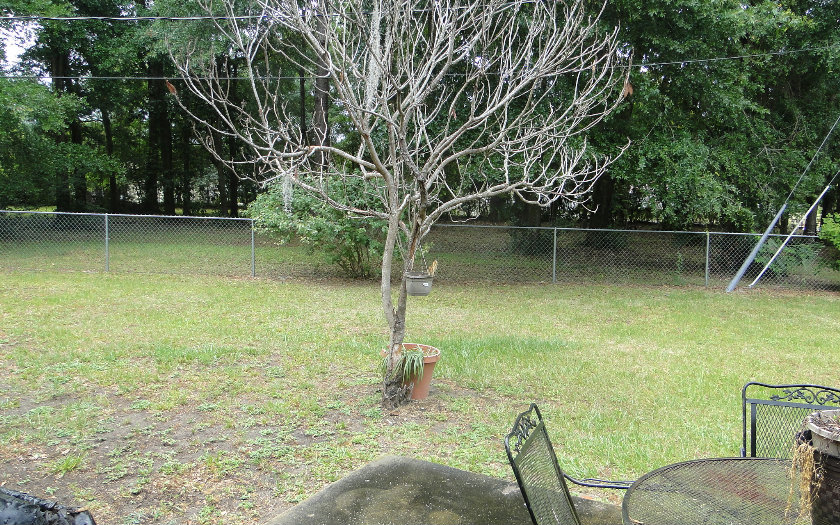 657 SE LLEWELLYN AVE, Lake City, FL 32025