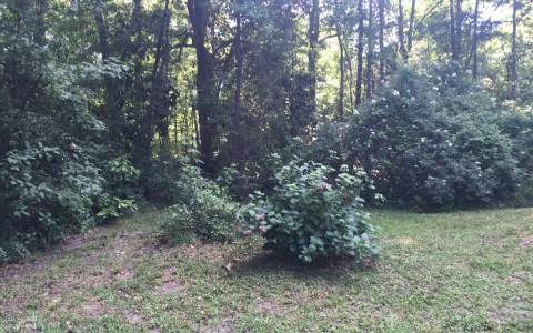 296 NW NYE HUNTER DRIVE, Lake City, FL 32025