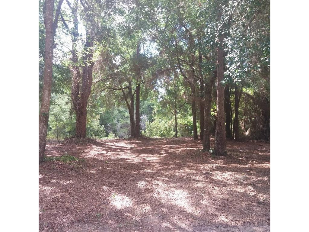96200 PARK PLACE, Fernandina Beach, FL 32034