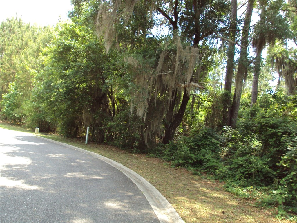 96255 PARK, Fernandina Beach, FL 32034