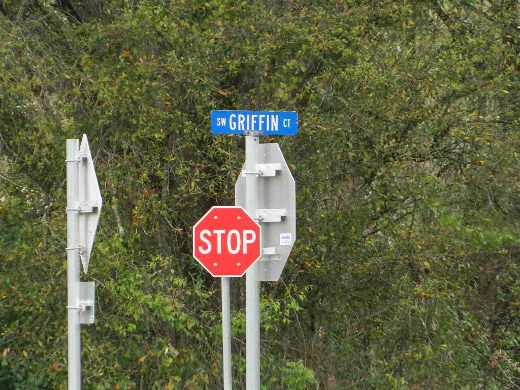 0000 Vacant land North side of CR 18, Ft. White, FL 32038