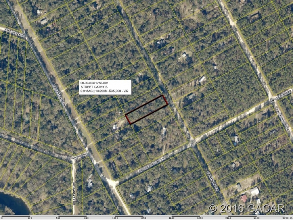 000 Southwest Newark Drive, Ft. White, FL 32038