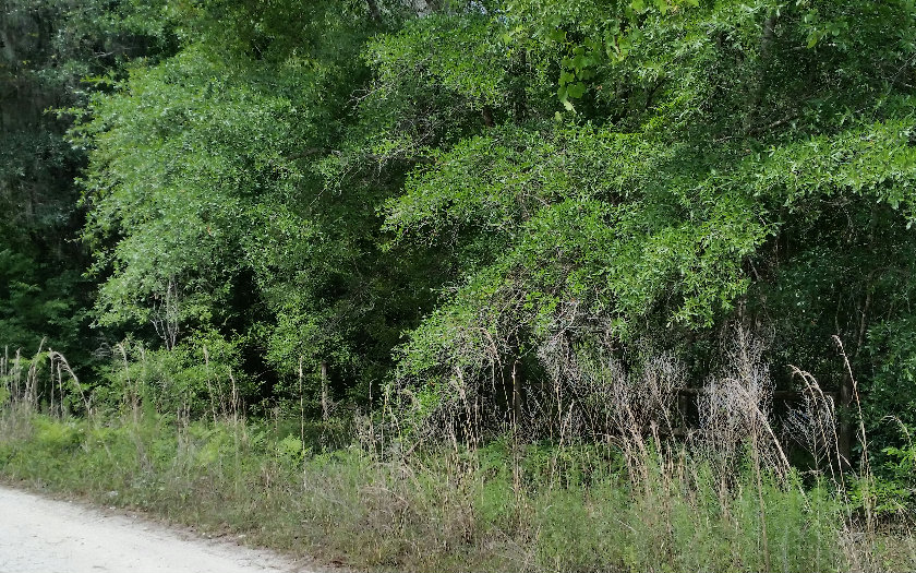 TBD QUARRY CIRCLE, Fort White, FL 32038