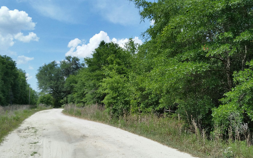 TBD QUARRY CIRCLE, Fort White, FL 32038