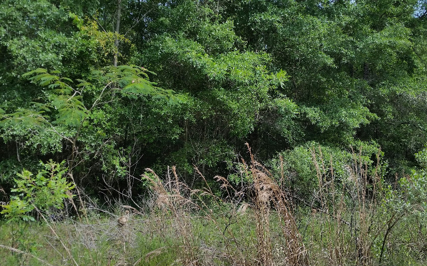 TBD QUARRY CIRCLE, Fort White, FL 32038