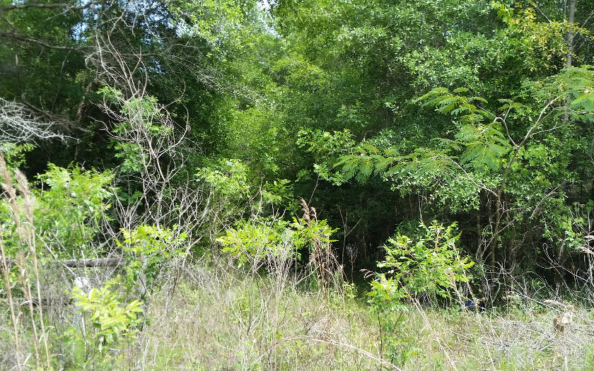 TBD QUARRY CIRCLE, Fort White, FL 32038