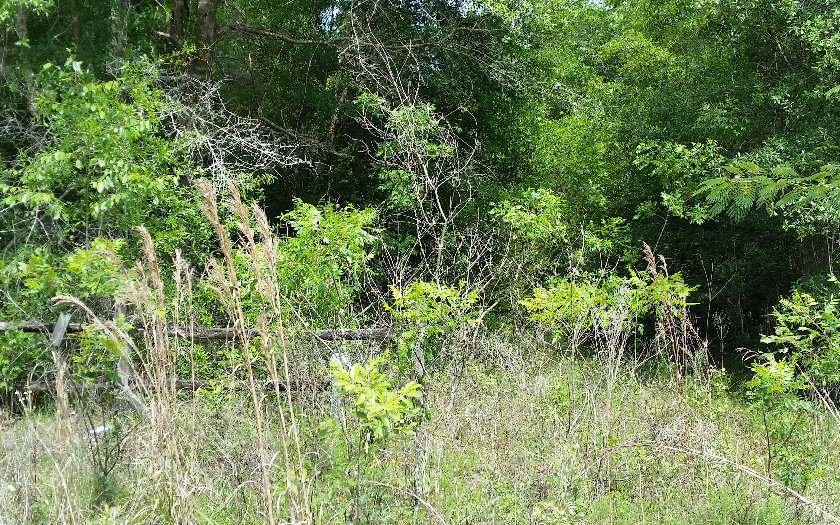 TBD QUARRY CIRCLE, Fort White, FL 32038