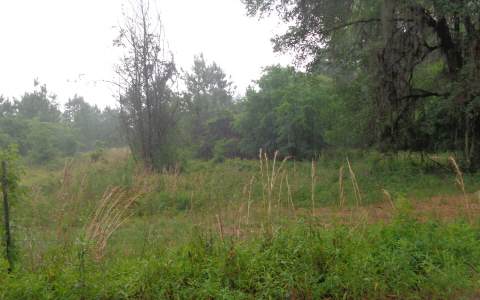SW CENTERVILLE AVE, Fort White, FL 32038