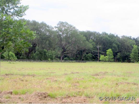 163 Southwest Sedgefield Farms Glen, Ft. White, FL 32038