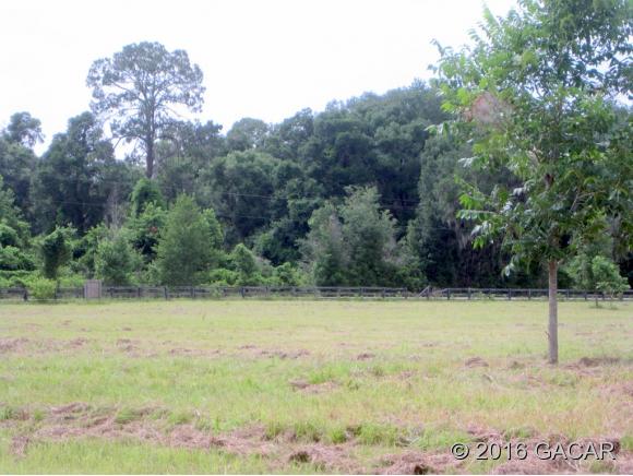 163 Southwest Sedgefield Farms Glen, Ft. White, FL 32038