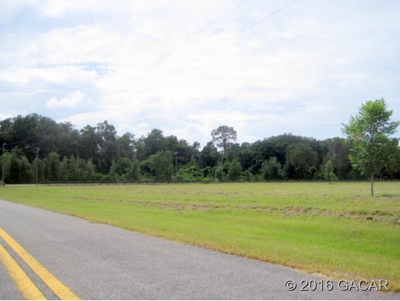 163 Southwest Sedgefield Farms Glen, Ft. White, FL 32038