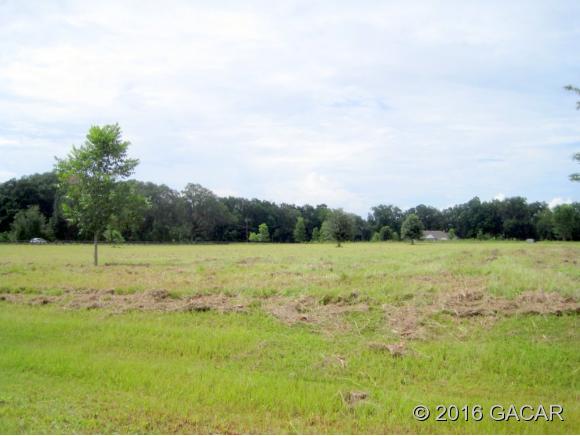 163 Southwest Sedgefield Farms Glen, Ft. White, FL 32038