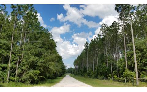 11524 SW TUSTENUGGEE AVENUE, Fort White, FL 32038