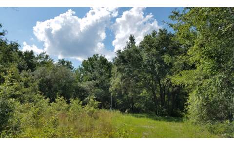 11524 SW TUSTENUGGEE AVENUE, Fort White, FL 32038