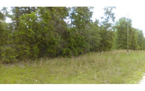 TBD SW LONCALA LOOP-LOT 9, Fort White, FL 32038