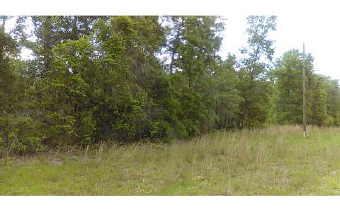 TBD SW LONCALA LOOP-LOT 9, Fort White, FL 32038