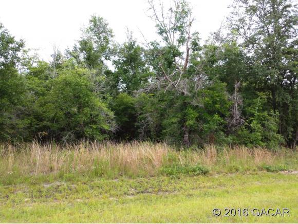 00 Southwest Choctaw Avenue, Ft. White, FL 32038