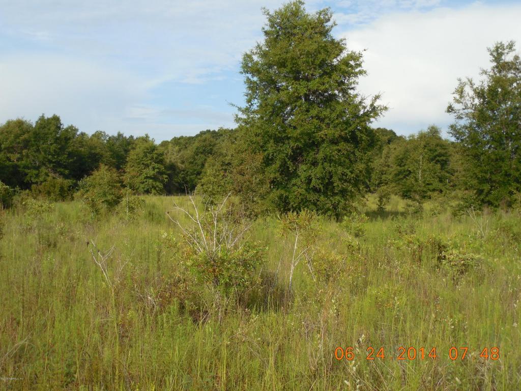 00 South West KINSEY SPRINGS TER, Fort White, FL 32038