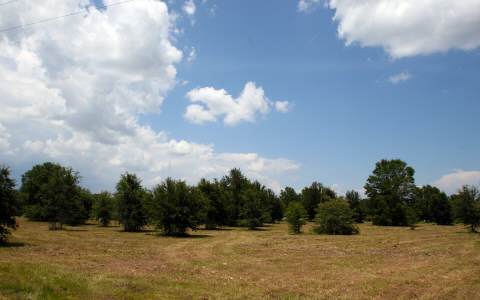 380 SW SKYLINE LOOP, Fort White, FL 32038