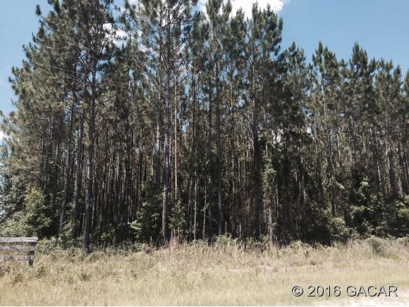 100 Southwest Carnation Court, Ft. White, FL 32038