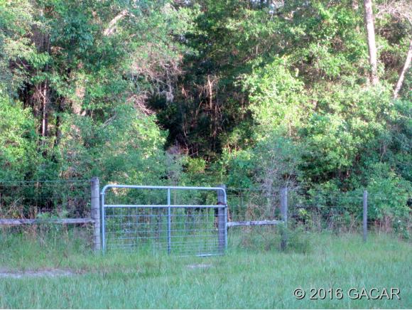 358 Southwest Sassafras Street, Ft. White, FL 32038