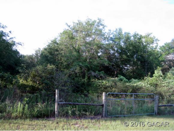 358 Southwest Sassafras Street, Ft. White, FL 32038