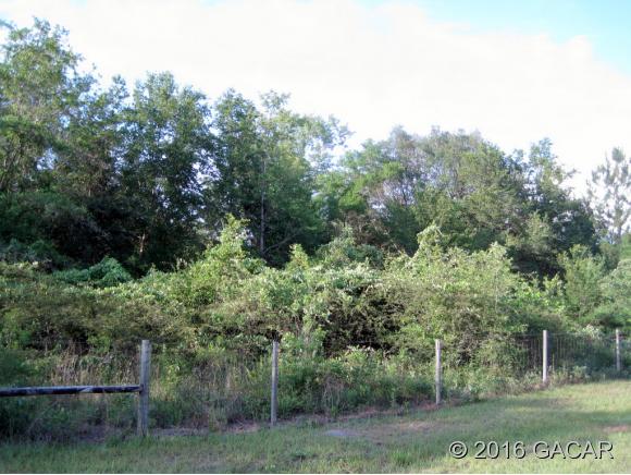 358 Southwest Sassafras Street, Ft. White, FL 32038