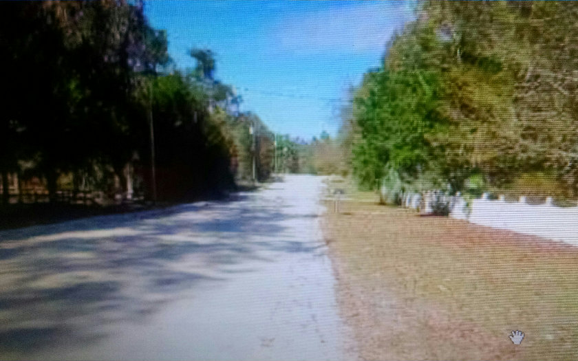 231 SW ALBANY TERRACE, Fort White, FL 32038