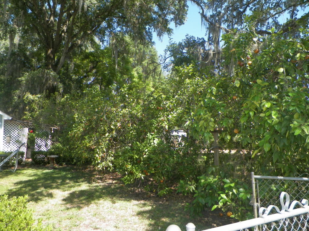 511 COVE ST, Green Cove Springs, FL 32043