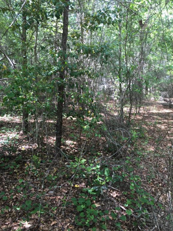 00 S.W. 80TH AVE, Hampton, FL 32044