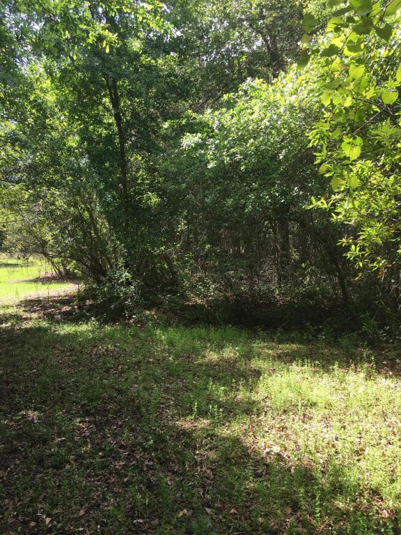 00 S.W. 80TH AVE, Hampton, FL 32044