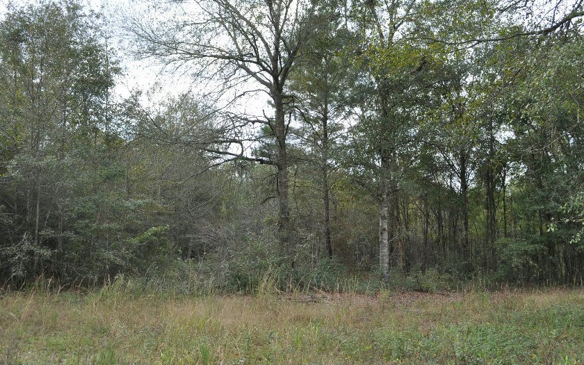 TBD NW US HWY 129, Jasper, FL 32052