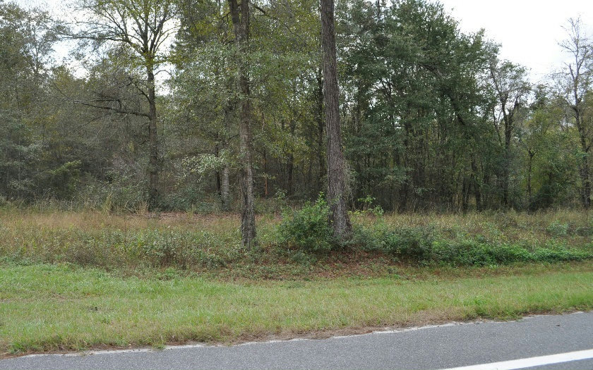 TBD NW US HWY 129, Jasper, FL 32052