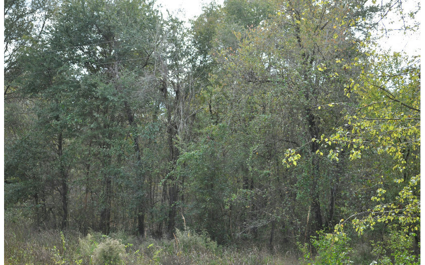 TBD NW US HWY 129, Jasper, FL 32052
