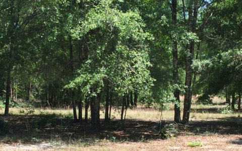 0000 SW 54TH TRAIL, Jasper, FL 32052
