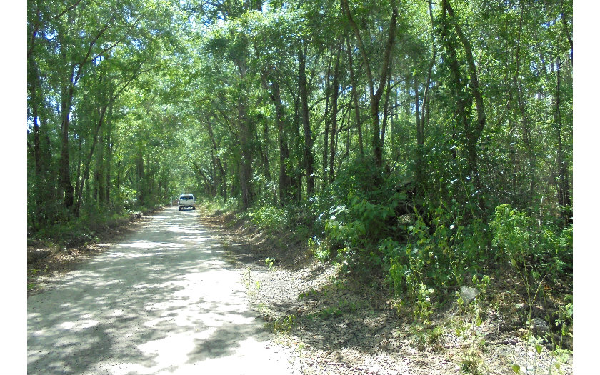 TBD SW 31ST STREET, Jasper, FL 32052