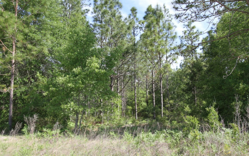 NW 44TH STREET, Jasper, FL 32052