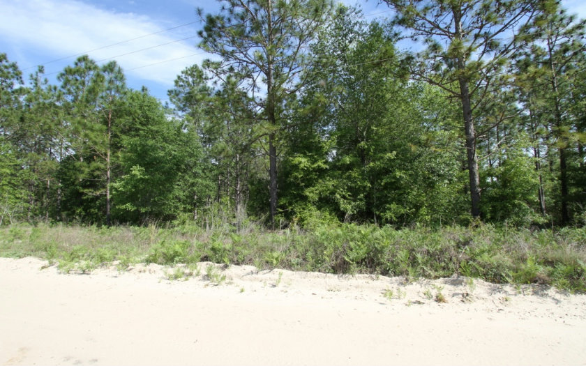 NW 44TH STREET, Jasper, FL 32052