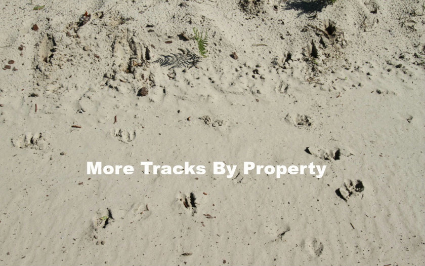 NW 44TH STREET, Jasper, FL 32052