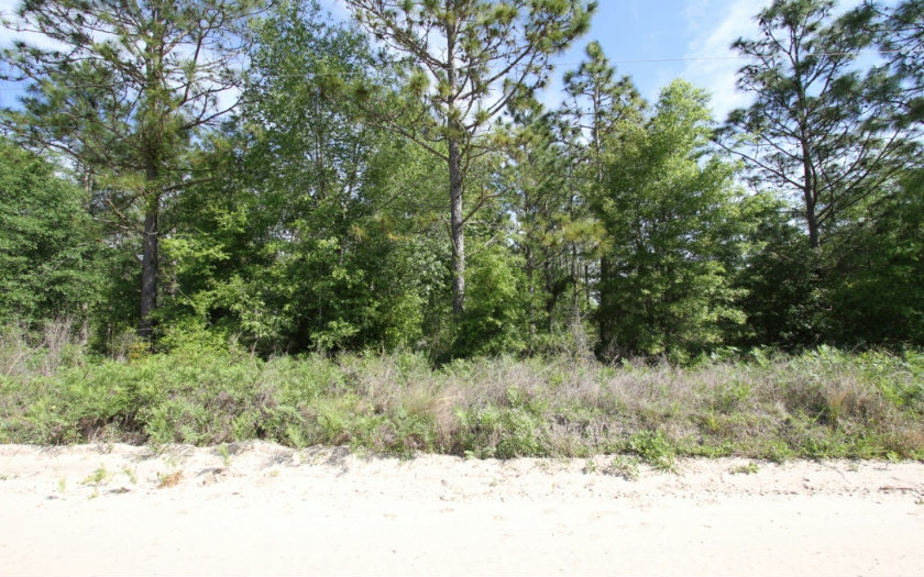 NW 44TH STREET, Jasper, FL 32052