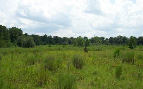 TBD HIGHWAY 41, Jasper, FL 32052